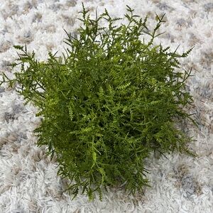 Artificial Greenery Plant Decor